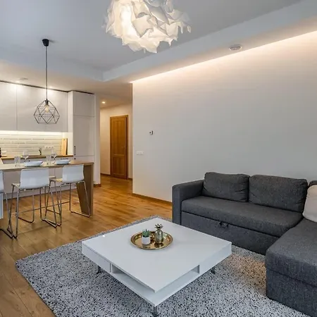 Domillion 1bdr Lovely With Parking &lift B9a4 * Vilnius