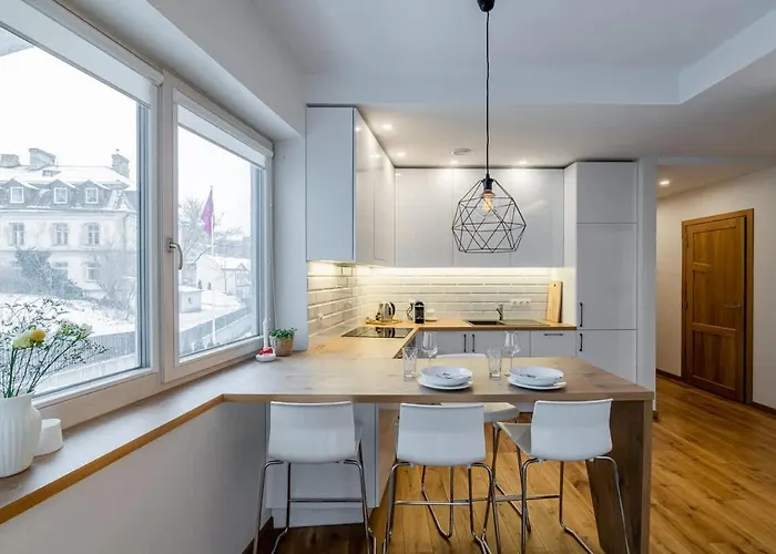 Lejlighed Domillion 1bdr Lovely With Parking &lift B9a4 Vilnius