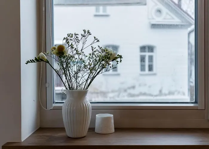 Appartement Domillion 1bdr Lovely With Parking &lift B9a4