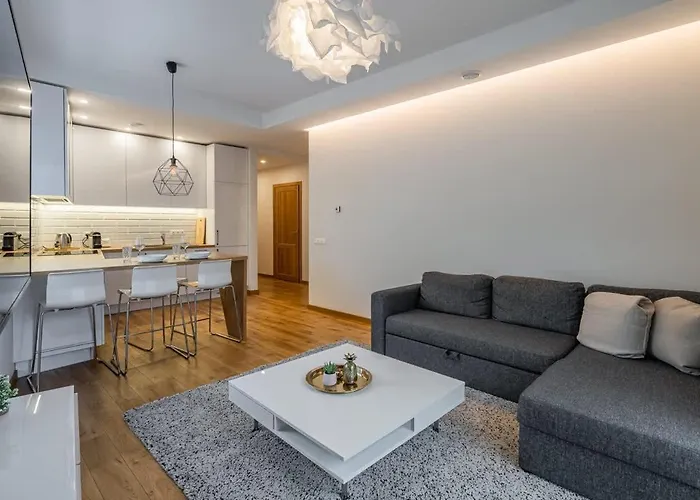 Domillion 1bdr Lovely With Parking &lift B9a4 * Vilnius